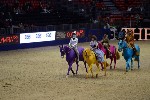Quadrille - 00495